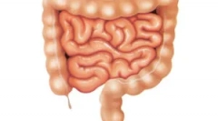 Ce paraziți pot locui în intestinul unei persoane